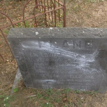 PLANE Eileen -1963 :: PLANE Ellie Ann -1964