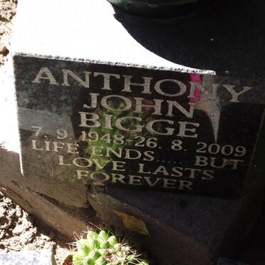 BIGGE Anthony John 1948-2009