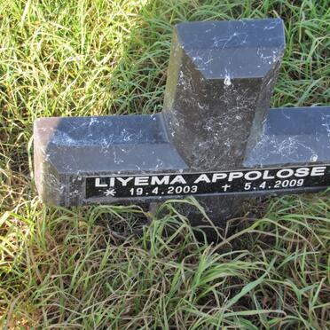 APPOLOSE Liyema 2003-2009