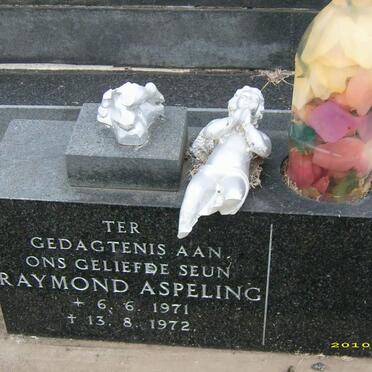 ASPELING Raymond 1971-1972