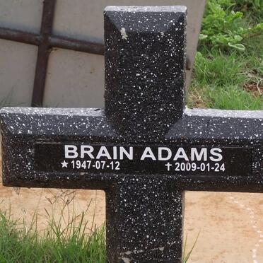 ADAMS Brain 1947-2009