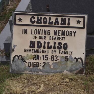 CHOLANI Ndiliso