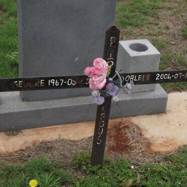 CROUS Nico Deetcliffs 1967-2004 