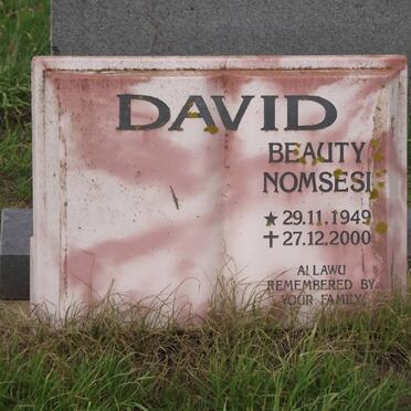 DAVID Beauty Nomsesi 1949-2000
