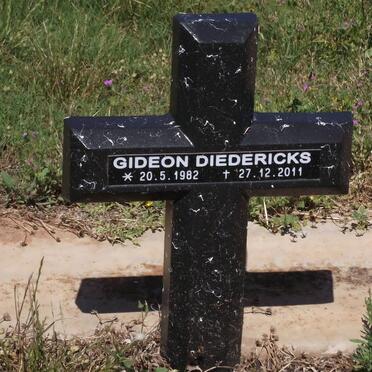DIEDERICKS Gideon 1982-2011