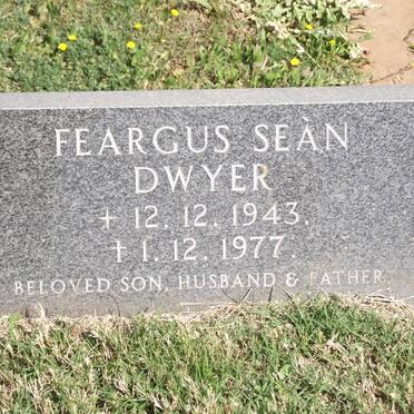 Dw - Surnames starting with the letters Dw