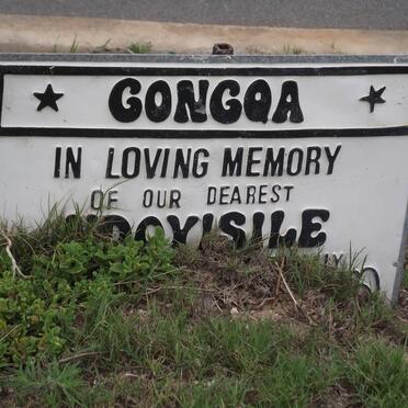 GONGQA Ndoyisile 1964-2003