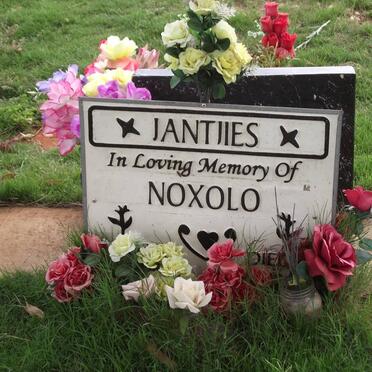 JANTJIES Noxolo 1979-2009