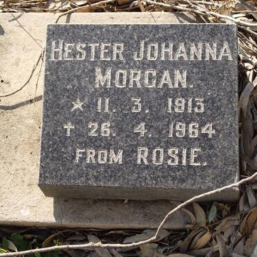 MORGAN Hester Johanna 1913-1964