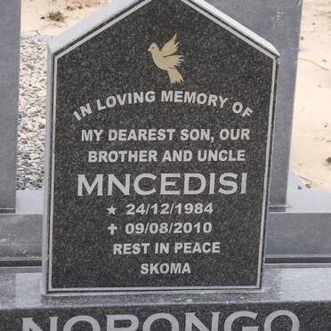 NORONGO Mncedisi 1984-2010