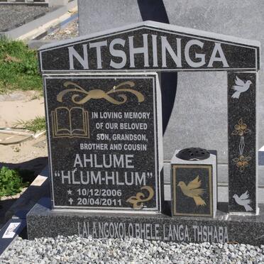 NTSHINGA Ahlume 2006-2011