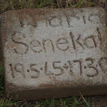 SENEKAL Maria 1945-2001