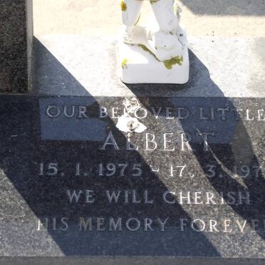 STANHOPE Albert 1975-1979