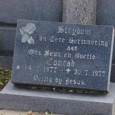 STRYDOM Conrad 1977-1977