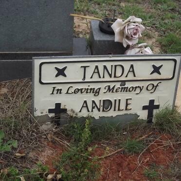 TANDA Andile Mlungisi 1963-2006