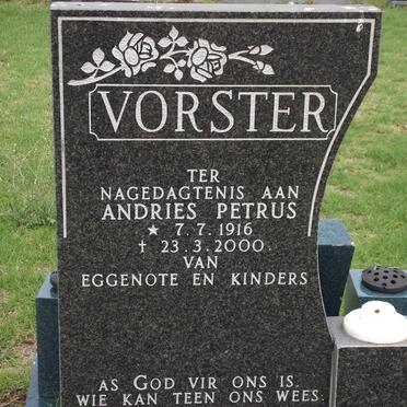 VORSTER Andries Petrus 1916-2000