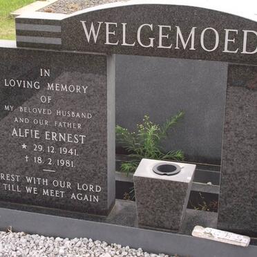 WELGEMOED Alfie Ernest 1941-1981