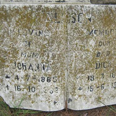 ALLISON Dick 1884-1929 &amp; Johanna 1885-1962