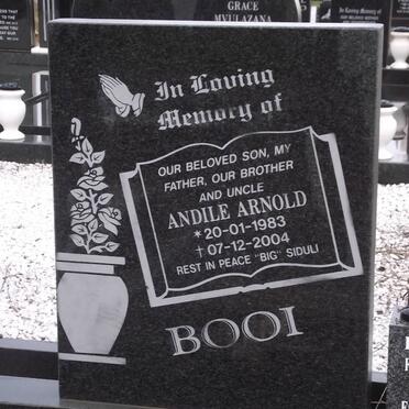BOOI Andile Arnold 1983-2004