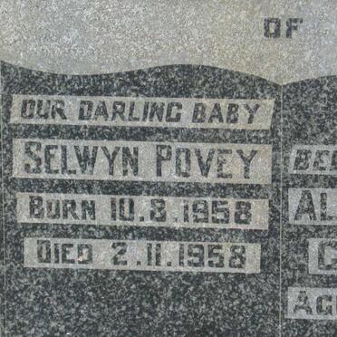 CONNOLLY Alfred Arthur &amp; Lena Magdalena :: POVEY Selwyn 1958-1958 
