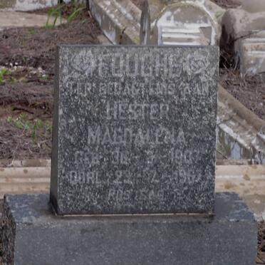 FOUCHE Hester Magdalena 1907-1963