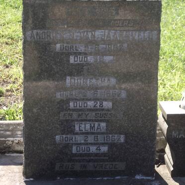 JAARSVELD Andries J., van -1962 &amp; Dorothea †1962 &amp; Elma †1962.JPG