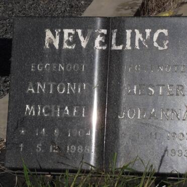 Ne - Surnames starting with the letters Ne