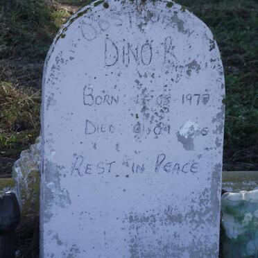 OOSTHUIZEN Dino R. 1973-1975