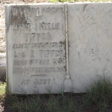 TIPPER Jane 1882-1960