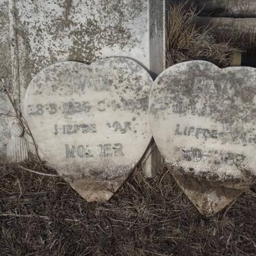 ? Ivan 1936-1952 :: Baby -193?