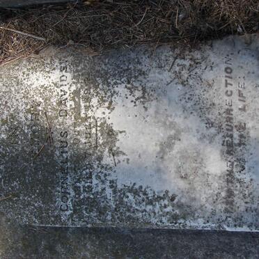 DAVIDS Cornelius -1894