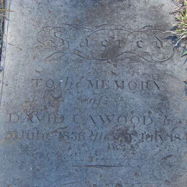 CAWOOD David 1836-1842