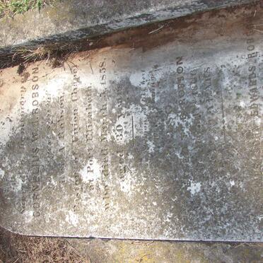 ROBSON Cornelius W.J. -1858 :: ROBSON Alfred T.B. -1866 :: ROBSON Cornelius John Edwards -1880