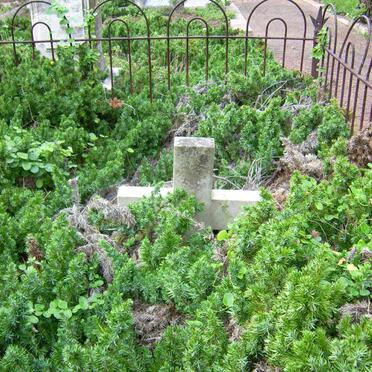 A - Surnames :: Vanne - A