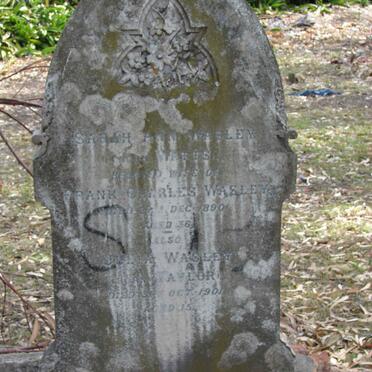 WASLEY Sarah Ann nee WATTS -1890 :: WASLEY Julia nee TAYLOR -1901 