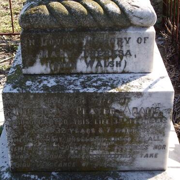 ADAMS Mary Theresa nee WALSH -190?