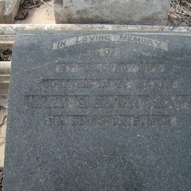 ADAMS Mary Shearer 1886-1952