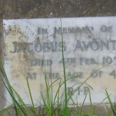 A - Surnames :: Vanne - A