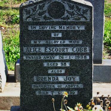 COBB Alice Escourt -1938 :: COBB Brenda Joy -1930