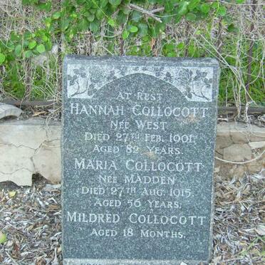 COLLOCOTT Hannah nee WEST -1901 :: COLLOCOTT Maria nee MADDEN -1915 :: COLLOCOTT Mildred