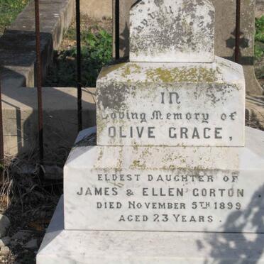 CORTON Olive Grace -1899