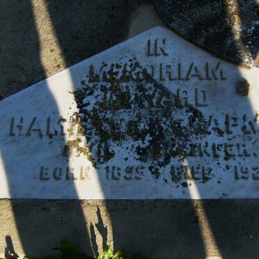 CHAPMAN Edward 1855-1928