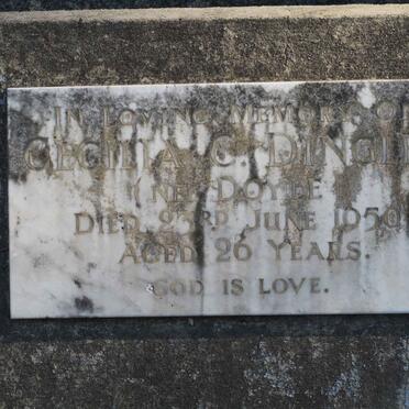 DINGLEY Cecilia C. nee DOYLE -1950