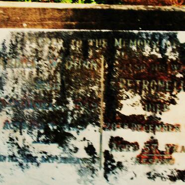 DUNN Abdiel W. -1949 :: DUNN Petronella -1950