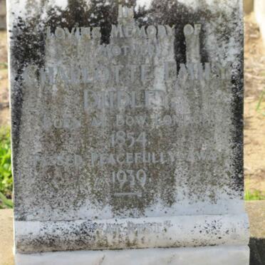 Du - Surnames starting with the letters Du