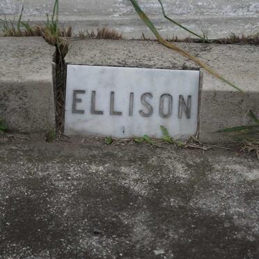ELLISON