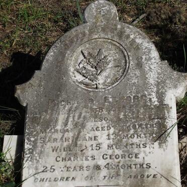 ELFORD Richard -1888 :: ELFORD Margaret :: ELFORD Sarah Jane :: ELFORD Willie :: Charles George