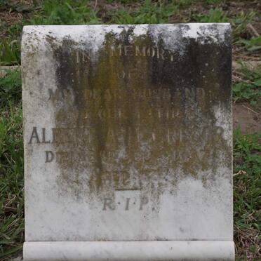 GREGOR Albert A.M. -1937