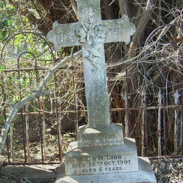 GIBB Nellie Rose -1901