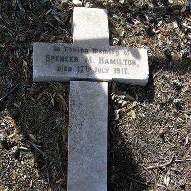 HAMILTON Spencer M. -1917